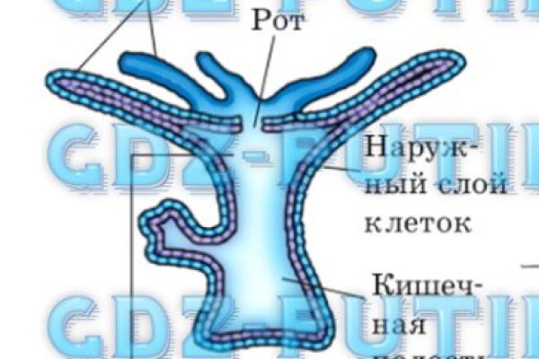 Kraken вывод денег