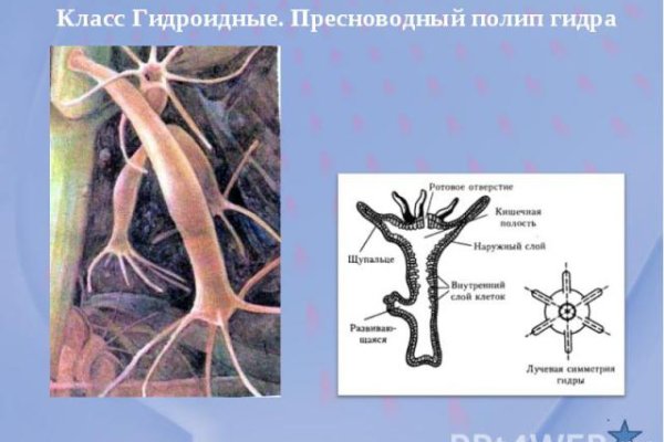 Кракен шоп это