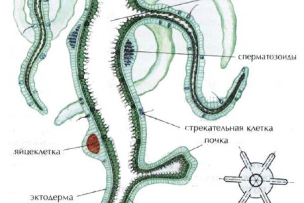 Что такое кракен маркетплейс в россии