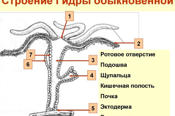 Не могу зайти в аккаунт кракен