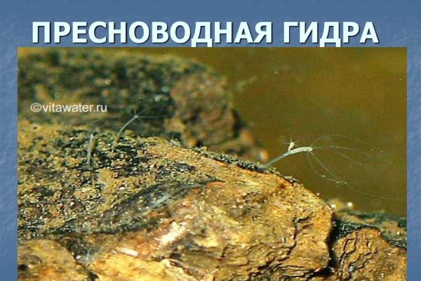 Кракен 2krnk