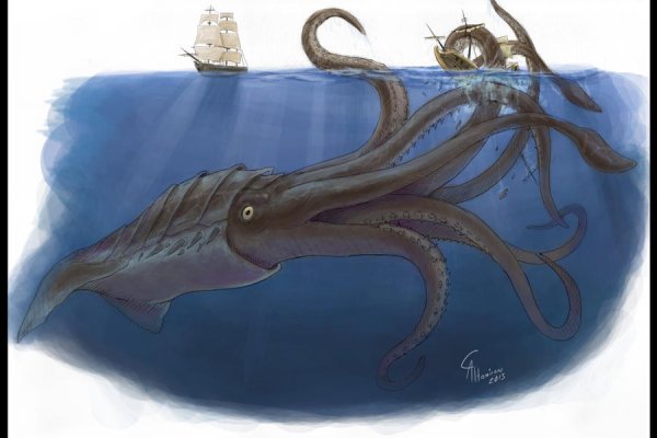 Kraken настоящая ссылка