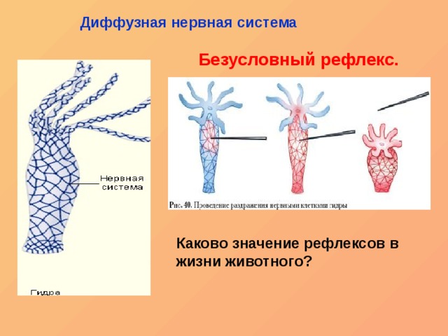 Kraken darknet ссылка тор