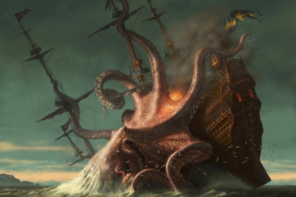 Kraken найдется все