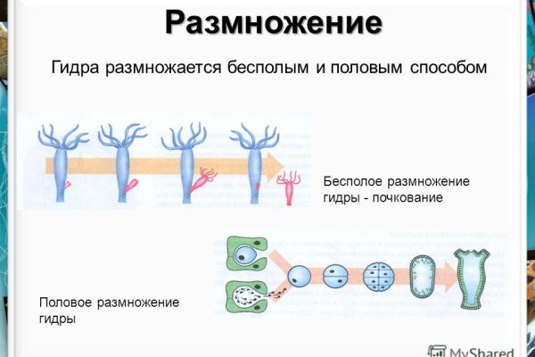 Кракен без тора