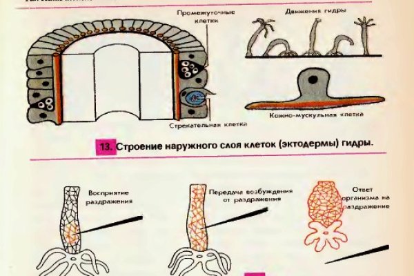 Кракен ссылка даркнет